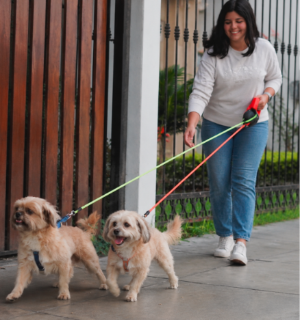 Correa para perro anti enredo (3 en 1)